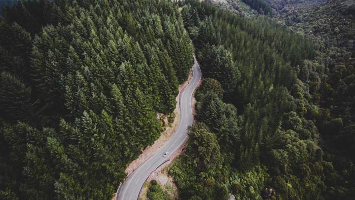 Road forest trees car top view 1920x1080